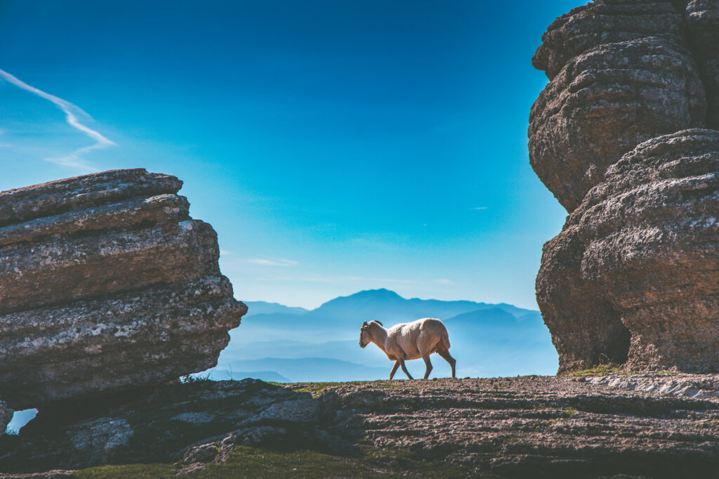 El Torcal Mountains Spain Malaga 2022 - Photography By KW Creative Travel Photography - Kent Wynne Travel Photography (C)